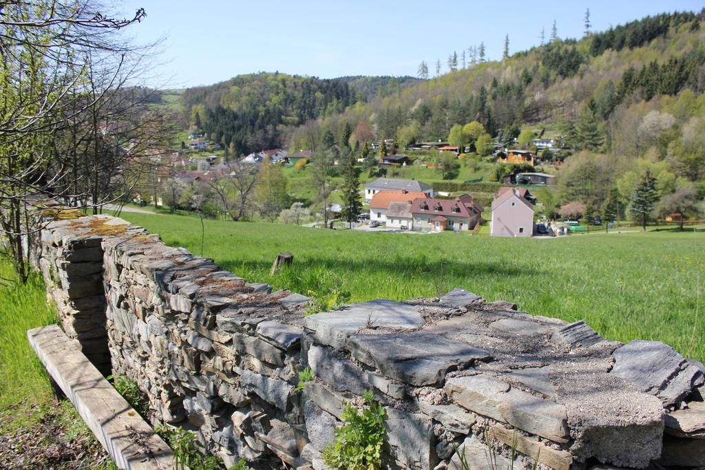 Ferienwohnung Zum Alten Forsthaus Messern ภายนอก รูปภาพ